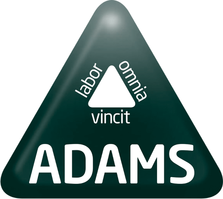 Logo 6
